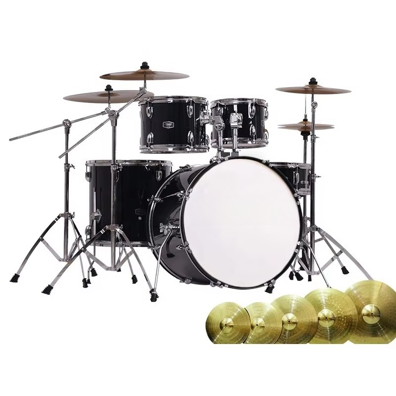 Musical Instrument Set - 클래식 센디 퍼포머 6피스 전문가용 악기