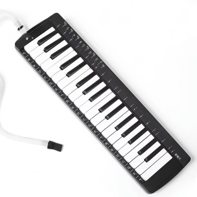 Musical Instrument Set - 37키 프로페셔널 멜로디카 세트 어린이용 악기