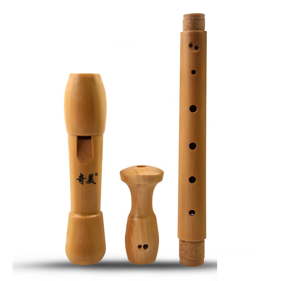 Qimei 8 홀 알토 레코더 악기 메이플 우드 플루트 - Musical Instrument Theremin 리뷰 및 가격