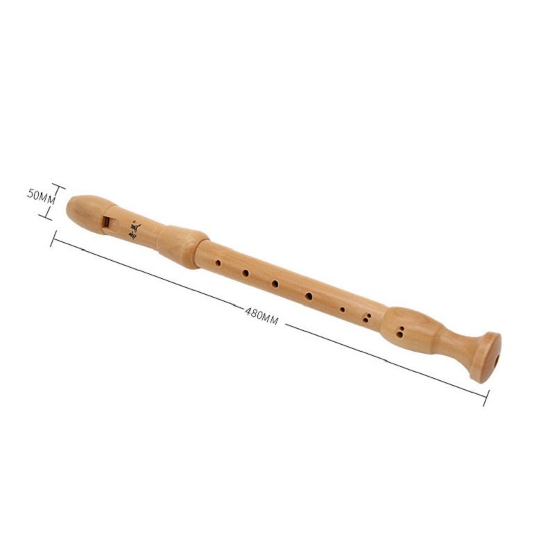 Qimei 8 홀 알토 레코더 악기 메이플 우드 플루트 - Musical Instrument Theremin 리뷰 및 가격