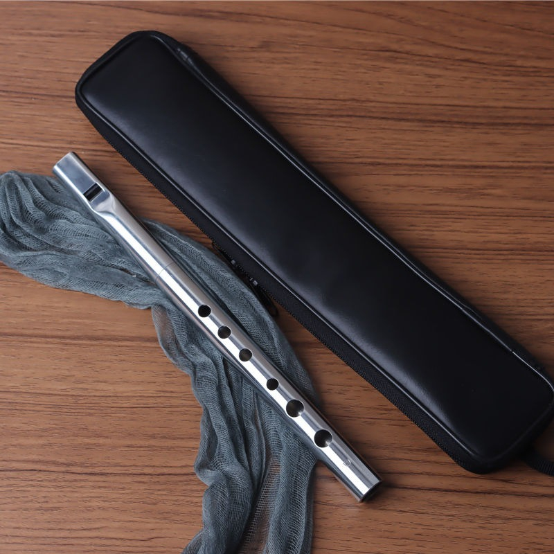 알루미늄 합금 리코더 D키 성인용 아일랜드 틴휘슬 플루 - Tin Whistle Flute 리뷰 및 가격