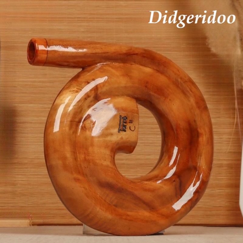 스파이럴 디지리두 나무 휴대용 디지리두 명상 사운드 힐 - Musical Instrument Didgeridoo 리뷰 및 가격