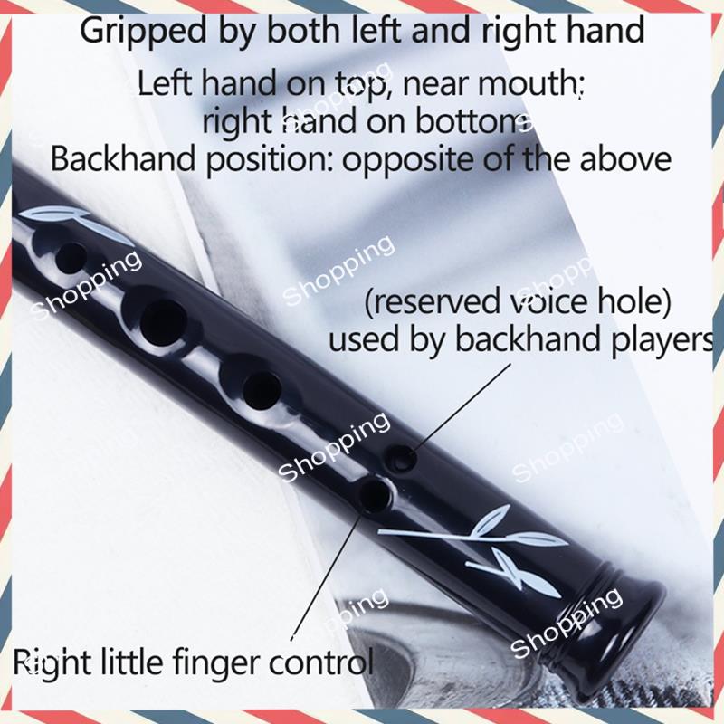 A44M 6홀 아일랜드식 틴 페니 휘슬 (케이스 포함) - Tin Whistle Flute 리뷰 및 가격