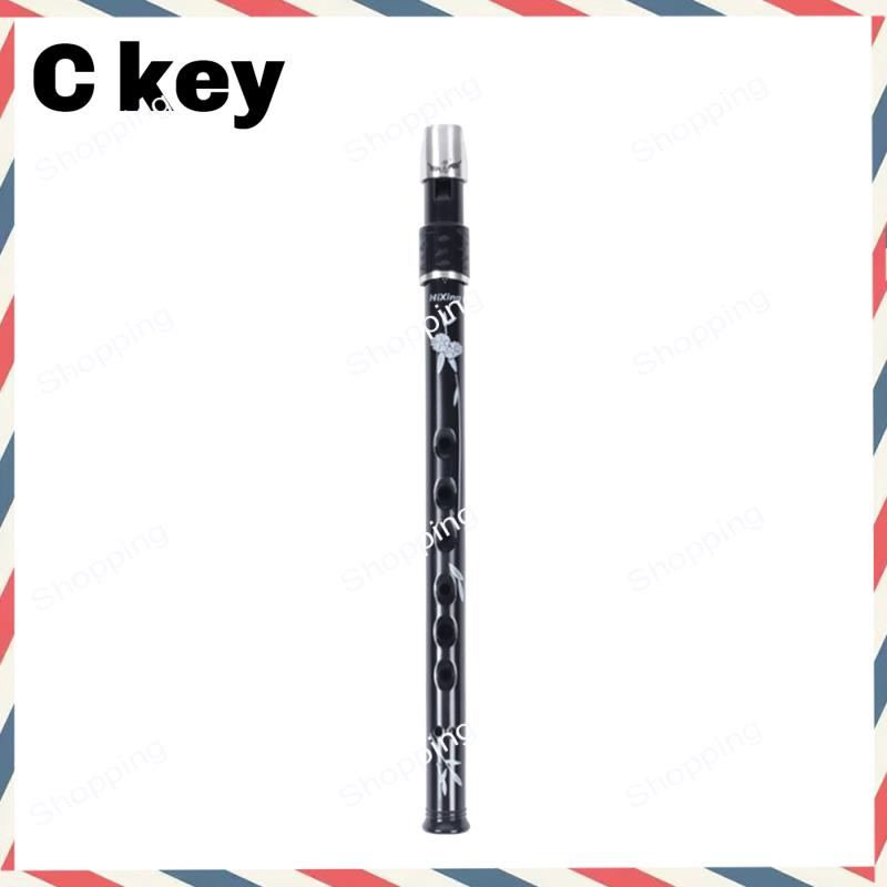 A44M 6홀 아일랜드식 틴 페니 휘슬 (케이스 포함) - Tin Whistle Flute 리뷰 및 가격