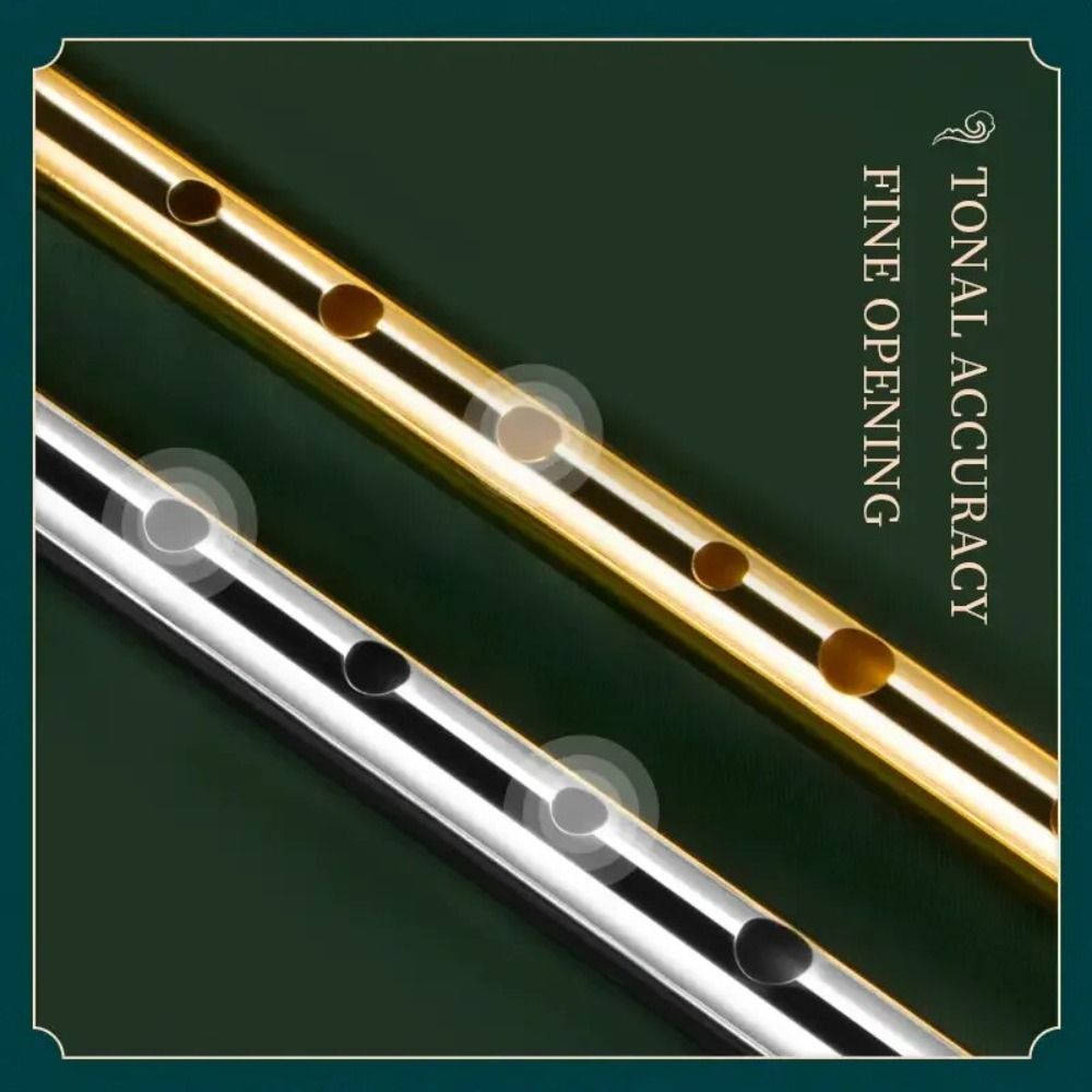 6홀 C/D 키 아이리쉬 휘슬 플루트 6홀 초보자용 알 - Tin Whistle Flute 리뷰 및 가격