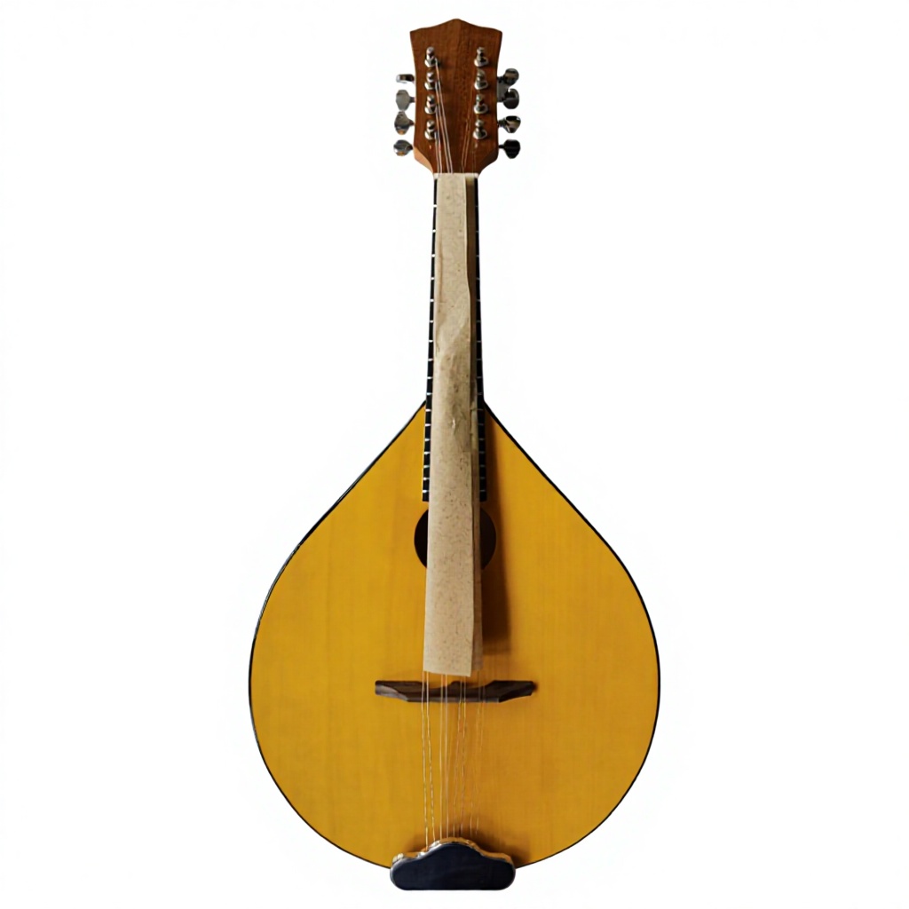 8현 어쿠스틱 밴조, 베이스우드 백 및 사이드, 만돌린 - Musical Instrument Banjo 리뷰 및 가격